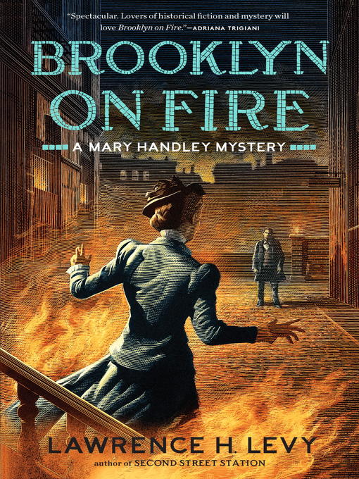 Title details for Brooklyn on Fire by Lawrence H. Levy - Available